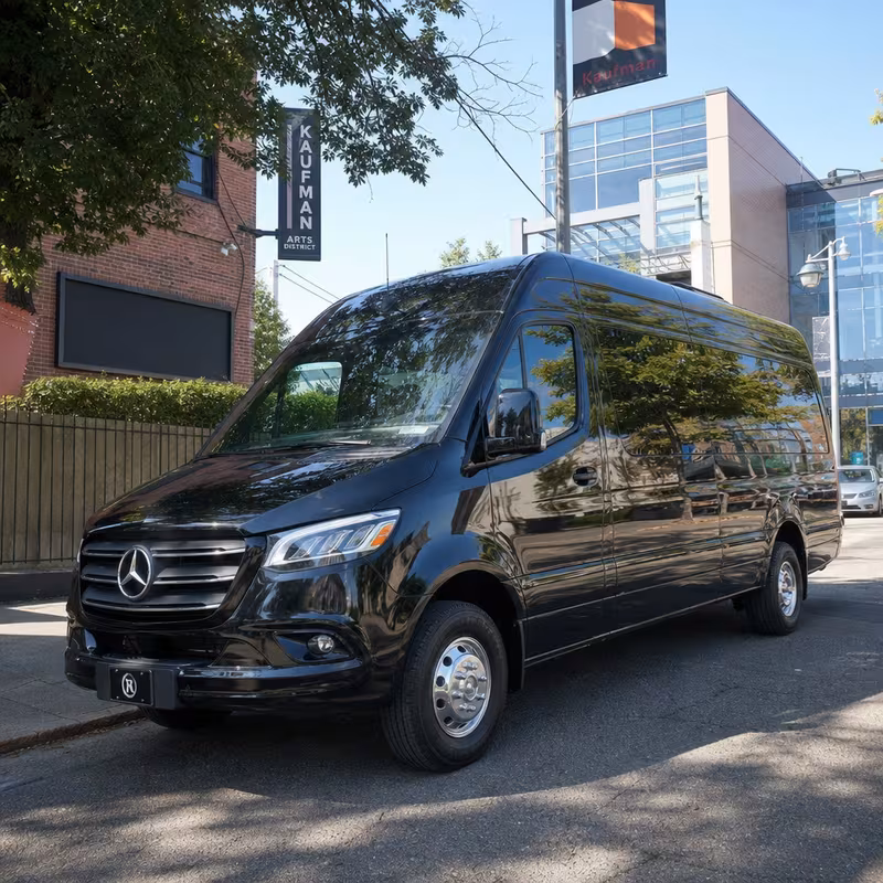 14 Passenger Sprinter Limo