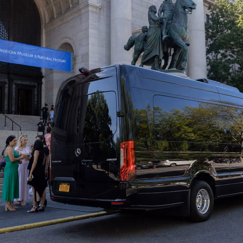 The American Museum of Natural History